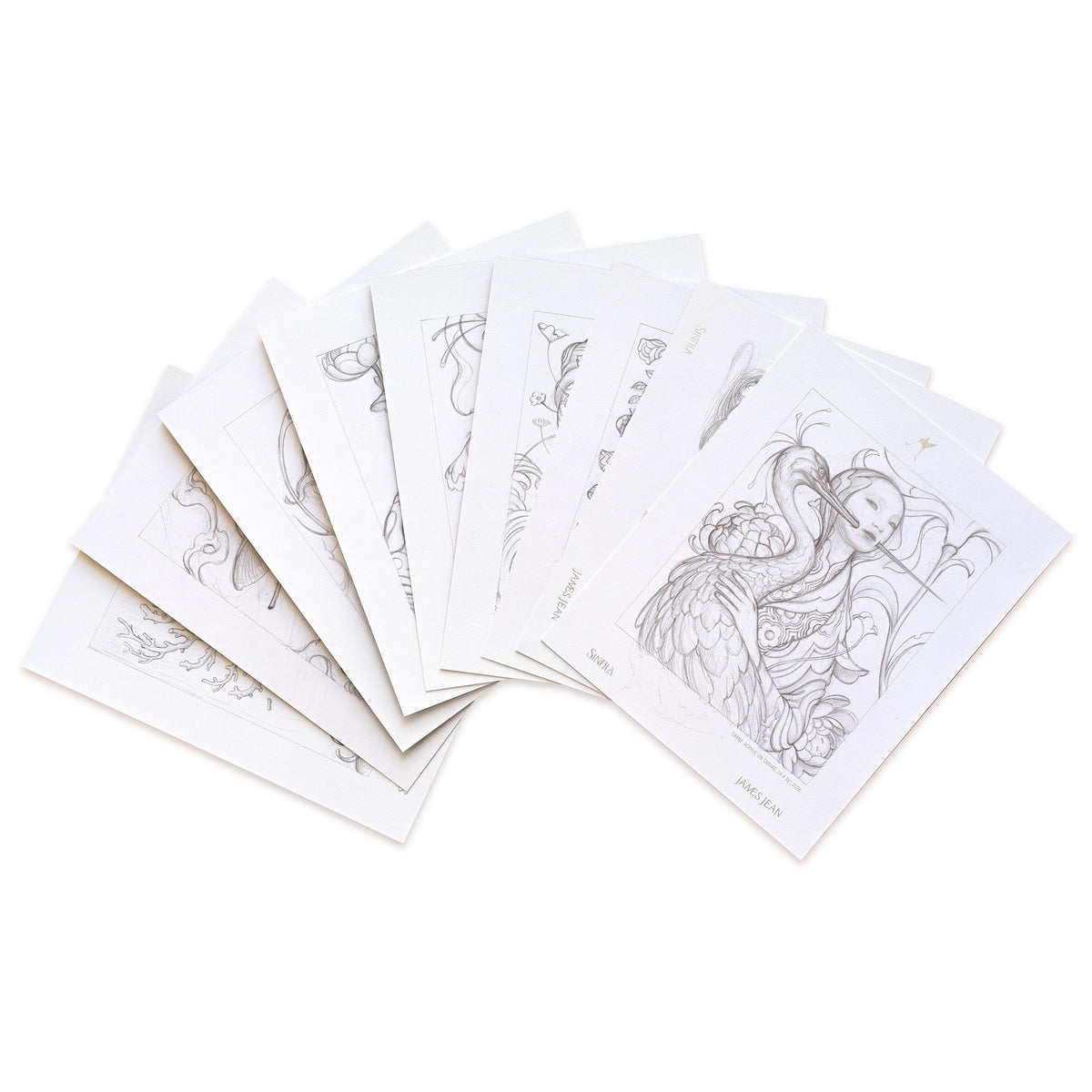 Sintila Mini Portfolio