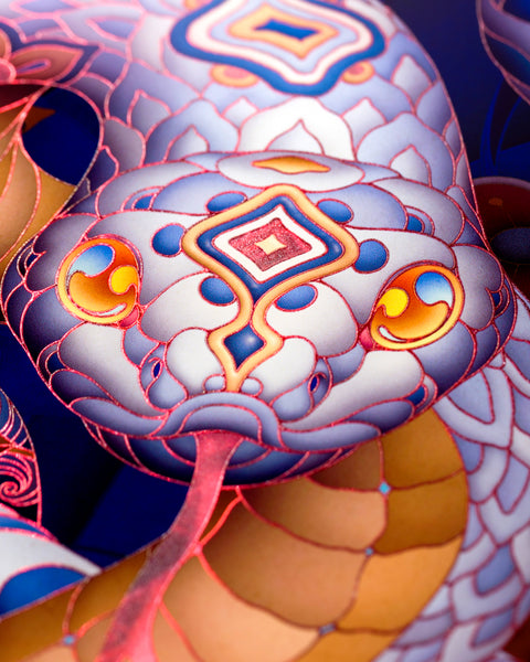 Year of the Snake — Laminyx