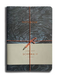 Schema II